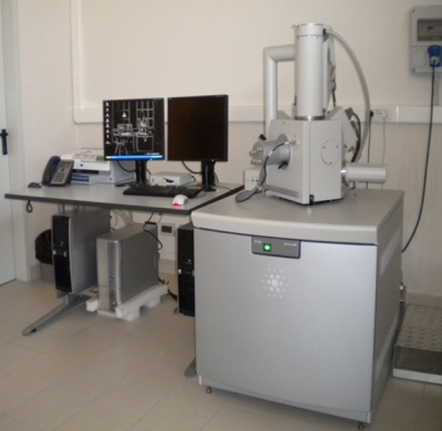 Microscopia Elettronica a Scansione con annessa microsonda EDS